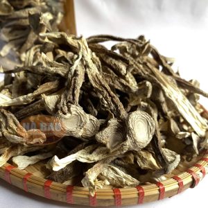 ảnh thật nấm nhung hươu