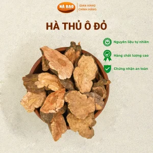 Hà Thủ Ô Đỏ