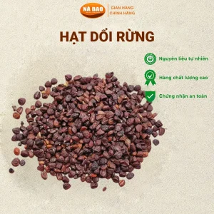Hạt Dổi Rừng