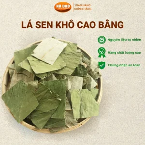lá sen khô cao bằng