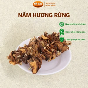 Nấm Hương Rừng Cao Bằng