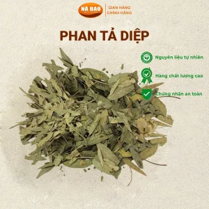 phan tả diệp